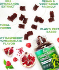 Nature'S Nutrition Ashwagandha Gummies for Women & Men 3000mg Equivalent Best Ashwagandha Supplement for Natural Antioxidant Support Energy & Immune Support Vegan Ashwa Root Extract Supplements Calm Gummy - 60 Count