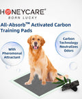 HONEY CARE All-Absorb, Carbon Training Pad, 22"x23", 100 ct, Ultra Absorbent and Odor Eliminating, Green