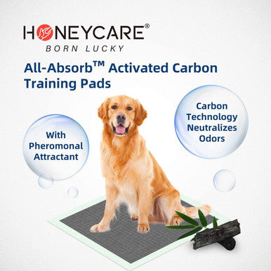 HONEY CARE All-Absorb, Carbon Training Pad, 22"x23", 100 ct, Ultra Absorbent and Odor Eliminating, Green