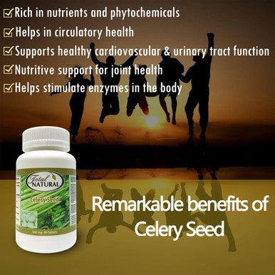 Celery Seed 600mg 90 Tablets [1 bottle] by Total Natural, circulatory health, Healthy Cardiovascular And Urinary Tract Function, Men And Sex Health Care