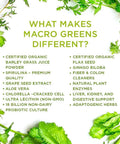 Macrolife Naturals Macro Greens Powder 38 Superfood Probiotic Antioxidant Enzyme & Herbal Supplement Immunity Energy Cleanse - Non-Gmo Vegan Gluten- Dairy- (12 Servings)