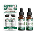 Gurunanda Gutcleanse 2-Step Kit - Dietary Supplement To Help With Digestion - Blend Of Fulvic Acid Wormwood Clove & Neem Extract 2X1 Floz
