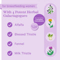 Pink Stork Lactation Supplement Gummies - Support Breast Milk Supply with Milk Thistle Alfalfa Vitamin D and B12 Postpartum Recovery Breastfeeding Essentials - Raspberry 40 Count