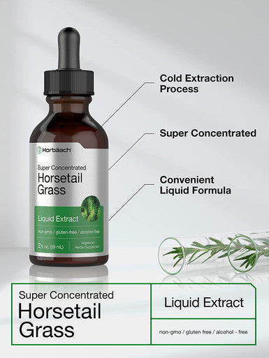 Horsetail Herb Liquid Extract | Alcohol Free | 2 fl oz | Vegetarian, Non-GMO, & Gluten Free Supplement | by Horbaach