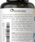 Carlyle Quercetin 500mg Capsules | with 50mg Zinc | 100 Count | Non-GMO and Gluten Supplement