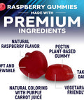 Men Multi Vitamin Gummy - Multi-Vitamin For Men Daily Nutritional Support With Vitamins A, C, D, E, B12, Zinc, Folate, Biotin & More - Energy, Memory, Focus & Immune Health Support - 60 Gummies