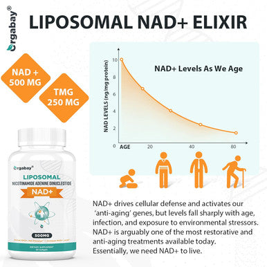 Liposomal Nad+ Supplement 500 Mg, High Absorption, Boost Nad+ With Tmg 250 Mg, Actual Nad Plus More Efficient Than Nicotinamide Riboside, Support Cellular Energy, Healthy Aging 60 Softgels