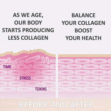 Collagen Peptides Powder Supplement Hydrolyzed Collagen Peptides for Skin Hair Nails Joints Easy to Mix NonGMO Dairy Gluten Unflavored 1 lb