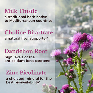 Vitalitown Milk Thistle Complex 30X Extract & Std. 80% Silymarin Choline + Dandelion Root + Zinc Superior Liver & Antioxidant Support Vegan, Non-Gmo, No Dairy 600 Mg 60 Veggie Caps