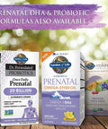 Garden of Life Once Daily Prenatal Bundle: Mykind Organics Prenatal Once Daily Multivitamin 30 Vegan Tablets Plus Dr. Formulated Once Daily Prenatal Probiotics 20 Billion Cfu 30 Vegetarian Capsules