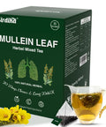 Mullein Tea Bags for Lungs - 20 Teabags (2.47oz/70g), 100% Pure Natural Premium Mullein Leaf, Mint Leaf, Mulberry Leaf for Lungs Cleanse and Respiratory Support, Herbal Teas, Caffeine Free (2 BOX)
