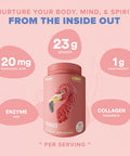 Birdman Fitmingo Vegan Protein Powder With Inositol, Collagen Boosters, Hyaluronic Acid And Vitamins Low Carb, Dairy Free, Lactose Free, Low Calorie 23G Plant Based Vanilla Protein Powder