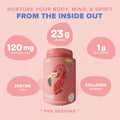 Birdman Fitmingo Vegan Protein Powder With Inositol, Collagen Boosters, Hyaluronic Acid And Vitamins Low Carb, Dairy Free, Lactose Free, Low Calorie 23G Plant Based Vanilla Protein Powder