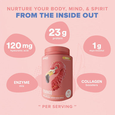Birdman Fitmingo Vegan Protein Powder With Inositol, Collagen Boosters, Hyaluronic Acid And Vitamins Low Carb, Dairy Free, Lactose Free, Low Calorie 23G Plant Based Vanilla Protein Powder