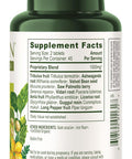 Banyan Botanicals Mens Support 500 mg 90 tabs