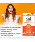 Country Life Gut Connection Immune Balance - Probiotic-Free - Promotes Improved Gut Microbiome Health & Gut-Brain Balance - Supports Strong Healthy Immune System - Gluten-Free Vegan - 60 Vegan Caps