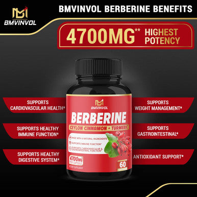 6 Packs Berberine Supplement 4700mg 12 Months Supply High Potency with Ceylon Cinnamon Turmeric Curcumin Cardiovascular Gastrointestinal Immune Support Berberine HCl Supplement Pills