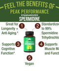 Spermidine Supplement Ultra High Strength Standardized To 99% Spermidine Trihydrochloride. More Potent Than Wheat Germ Extract