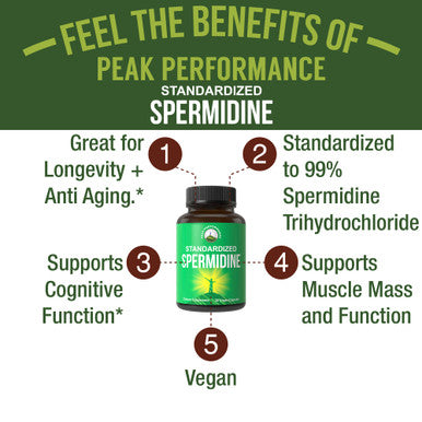 Spermidine Supplement Ultra High Strength Standardized To 99% Spermidine Trihydrochloride. More Potent Than Wheat Germ Extract