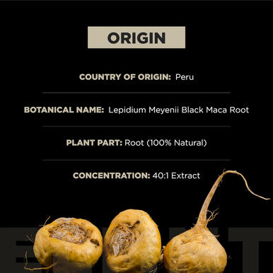 Terra ELMNT 40,000mg 40x Strength Organic Black Maca Root with Ashwagandha - Highest Potency Black Maca Root Capsules for Men - 100% Pure Maca Peruana Powder Organic, Gelatinized, Non-GMO - 60 Pills