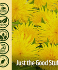 Nature'S Answer Dandelion Root 1260mg 90-Capsules | Digestion Liver and Gallbladder Function Support | Gluten- Non-GMO Vegan No Artificial Flavors or Preservatives | Single Count
