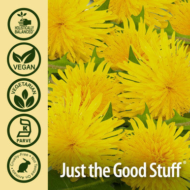 Nature'S Answer Dandelion Root 1260mg 90-Capsules | Digestion Liver and Gallbladder Function Support | Gluten- Non-GMO Vegan No Artificial Flavors or Preservatives | Single Count