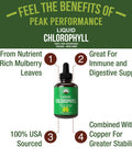 Chlorophyll Liquid Drops - Vegan, Non-Gmo, Gluten Free Liquid Chlorophyll Drops For Water. Supplement For Energy, Skin Care, Immu