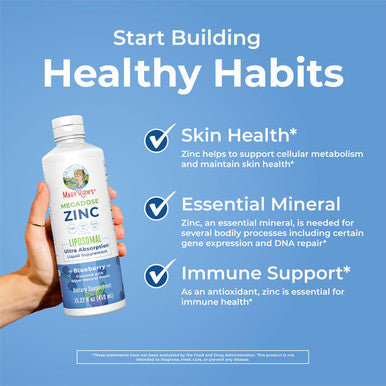 Maryruth Organics Nutritional Supplement Liposomal Liquid Zinc Supplement With Vitamin E Overall Health And Skin Care Blueberry Vegan, Non-Gmo, Gluten Free, No Sugar Added 15.22 Fl Oz