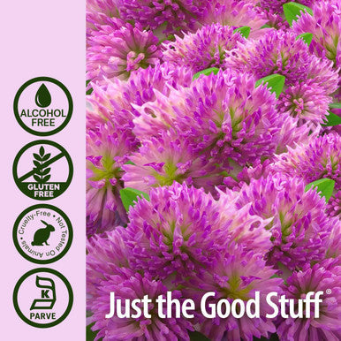 Nature'S Answer Red Clover Extract Supplement Alcohol 1 Oz (Pack of 4) | Natural Mood Support | Hormone Balance for Women | Menopausal Support
