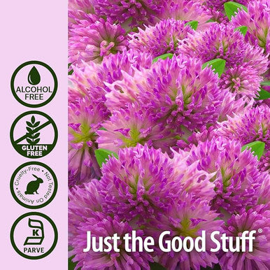Nature's Answer Nature's Answer Red Clover a/f 1 oz