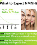 Sublingual Nmnh 500Mg (Dihydronicotinamide Mononucleotide) (120 Servings, Nmnh 500Mg Per Serving) Nad Supplement To Boost Nad Levels As We Age, For Anti-Aging, Energy, Immunity, Focus - 120 Count