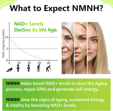 Sublingual Nmnh 500Mg (Dihydronicotinamide Mononucleotide) (120 Servings, Nmnh 500Mg Per Serving) Nad Supplement To Boost Nad Levels As We Age, For Anti-Aging, Energy, Immunity, Focus - 120 Count