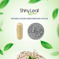Shiny Leaf Bariatric Multivitamin Iron-Capsules For Post Bariatric Surgery Patients, Once Daily Bariatric Vitamins Without Iron For Wls, Sleeve, Gastric Bypass Surgery (1 Month / 30 Caps)