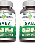 Amazing Nutrition Formulas GABA 750 Mg Per Serving Veggie Capsules Supplement | Non-GMO | Gluten | Made in USA | Ideal for Vegetarians (100 Count) | Pack of 2