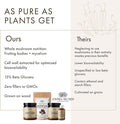 Anima Mundi Reishi Fountain of Youth Mushroom Powder - Organic Reishi Mushroom Powder - Immune Support Supplement with Organic Reishi Extract Powder - Great for Tea, Coffee and More (4oz / 113g)
