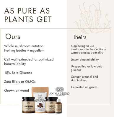 Anima Mundi Reishi Fountain of Youth Mushroom Powder - Organic Reishi Mushroom Powder - Immune Support Supplement with Organic Reishi Extract Powder - Great for Tea, Coffee and More (4oz / 113g)