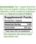 Nature'S Way Fennel Seed 480 Mg, 100 Vcaps