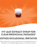 Nature'S Way Bronchial Soothe Syrup With Ivy Leaf Extract, Alcohol-Free, Non-Drowsy, 4 Fl. Oz.