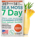 Atlantic Naturals Sea Moss 7 Day Detox Liver Gallbladder & Kidney Cleanse - Support With Dandelion Root Milk Thistle Burdock Root Red Clover Chanca Piedra - Pineapple Flavor Drink Mix (14 Oz)
