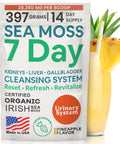 Atlantic Naturals Sea Moss 7 Day Detox Liver Gallbladder and Kidney Cleanse Support with Dandelion Root Milk Thistle Burdock Root Red Clover Chanca Piedra Pineapple Flavor Drink Mix (14 oz)