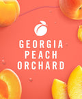Febreze Plug In Air Freshener Odor-Fighting Scented Oil Refill Georgia Peach Orchard 2 Refill