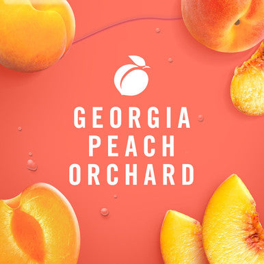 Febreze Plug In Air Freshener Odor-Fighting Scented Oil Refill Georgia Peach Orchard 2 Refill