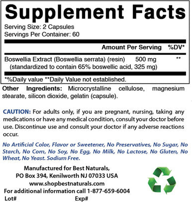 Best Naturals Boswellia Serrata Joint Health 250 mg 120 Capsules - Standardized to 65% Boswellic Acid (120 Count (Pack of 2))
