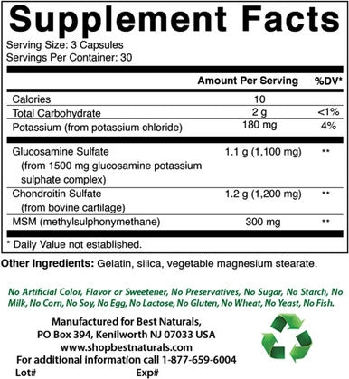 Best Naturals Glucosamine Chondroitin Msm Supplements 2600 Mg Per Serving 90 Capsules (90 Count (Pack Of 2))