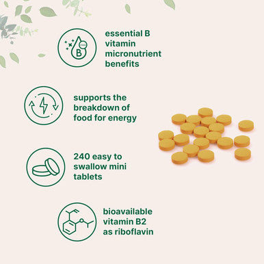Micro Ingredients Riboflavin Vitamin B2 400mg Per Serving 240 Mini Tablets | Essential Vitamin B Supplement | B Vitamins for Energy Production | Easy to Swallow Non-GMO