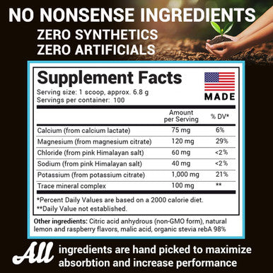 Dr. Berg's Electrolyte Powder, Raspberry & Lemon Natural Flavor - Hydration Drink Mix Supplement w/ 13x Potassium - Boost Energy & Keto Friendly - NO Maltodextrin Sugar & Carb Free - 100 Servings