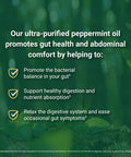 IBgard Daily Gut Health Support Dietary Supplement 48 Capsules