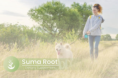 PURE ORIGINAL INGREDIENTS Suma Root, (100 Capsules) Always Pure, No Additives Or Fillers, Lab Verified