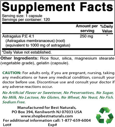 Best Naturals Astragalus Extract 1000 Mg 120 Capsules (Pack of 2)