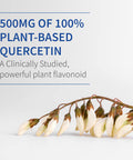 Garden of Life Quercetin Post Workout Recovery With Zinc Turmeric & Green Tea Dr Formulated Healthy Inflammatory Response & Joint Support - Gluten Free Non Gmo Carbon Neutral 30 Tablets